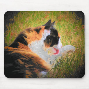 Tapis De Souris Maintenir propre