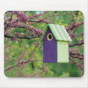 Tapis De Souris Maison d'oiseau sur un arbre Redbud