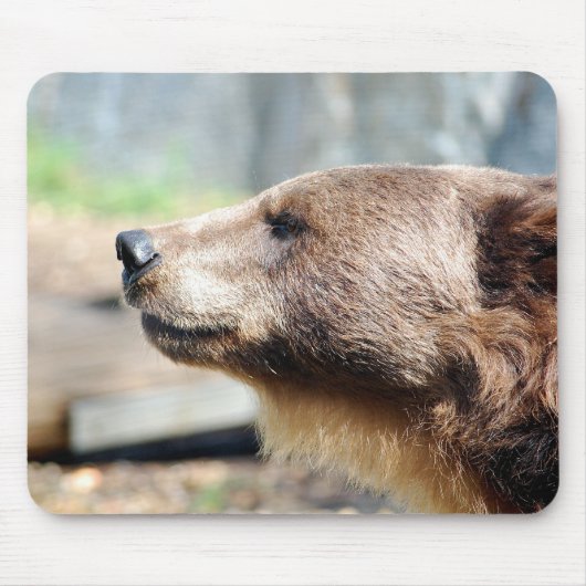 Tapis De Souris Maître Bruin (Devant)