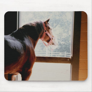 Tapis De Souris Majestic Clydesdale