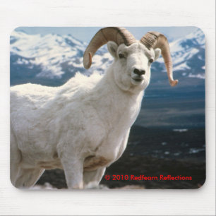 Tapis De Souris Majestueux