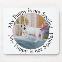 Mal ? Bull Terrier Puppy. . . Non
