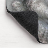 Tapis De Souris Malamute (Coin)