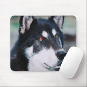 Tapis De Souris Malamute d'Alaska (Avec souris)