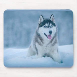 Tapis De Souris Malamute d'Alaska marchant sur le terrain de neige