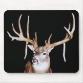 Tapis De Souris Mâle de 16 points (Devant)