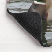 Tapis De Souris Mallard (Coin)