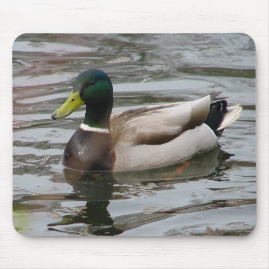Tapis De Souris Mallard (Devant)