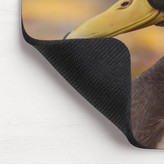 Tapis De Souris Mallard (Coin)