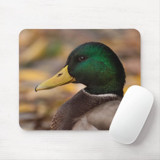 Tapis De Souris Mallard (Avec souris)
