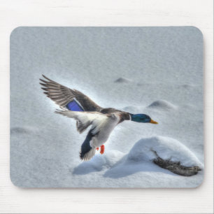 Tapis De Souris Mallard Dradlover Photo de la faune
