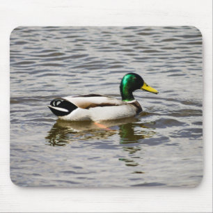Tapis De Souris Mallard Drake