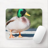 Tapis De Souris Mallard Drake (Avec souris)
