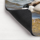 Tapis De Souris Mallard Drake (Coin)
