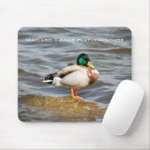 Tapis De Souris Mallard Drake (Avec souris)