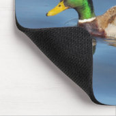 Tapis De Souris Mallard Duck (Coin)