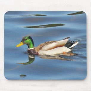 Tapis De Souris Mallard Duck