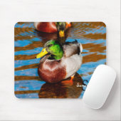Tapis De Souris Mallard Duck (Avec souris)