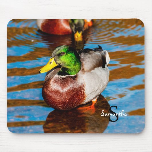 Tapis De Souris Mallard Duck (Devant)