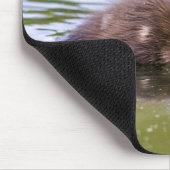 Tapis De Souris Mallard Duckling (Coin)