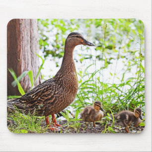 Tapis De Souris Mallard et Ducklings par Shirley Taylor