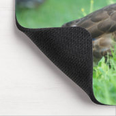 Tapis De Souris Mallard Mousepad (Coin)