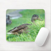 Tapis De Souris Mallard Mousepad (Avec souris)