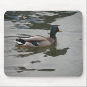 Tapis De Souris Mallard Mousepad (Devant)