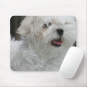 Tapis de souris maltais blanc de chiot (Avec souris)