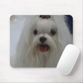 Tapis de souris maltais de chiot (Avec souris)