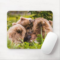 Mama bear nourrit ses deux petits, Lake Clark Nati