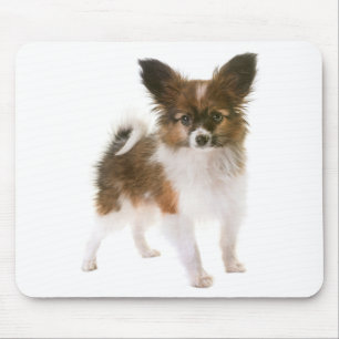 Tapis De Souris Maman chiot Papillon amoureuse des chiens Mamas e
