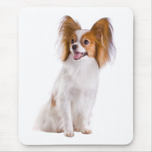 Tapis De Souris Maman chiot Papillon amoureuse des chiens Mamas e