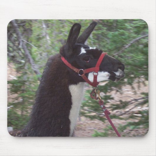 Tapis De Souris Maman de lama (Devant)