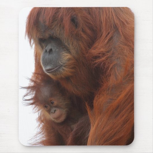 Tapis De Souris Maman et bébé Orangutan (Devant)