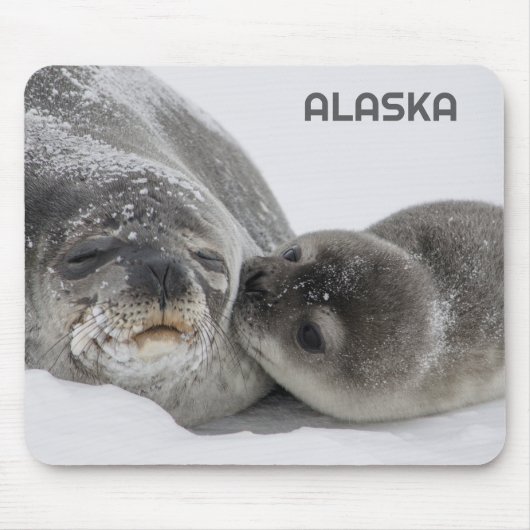 Tapis de souris Maman et bébé phoque d'Alaska Mign (Devant)
