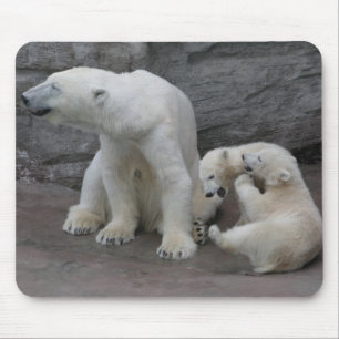 Tapis De Souris Maman et petits ours d'ours polaires