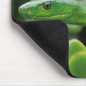 Tapis De Souris Mamba vert oriental (Dendroaspis angusticeps) (Coin)