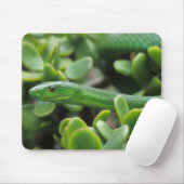 Tapis De Souris Mamba vert oriental (Dendroaspis angusticeps) (Avec souris)
