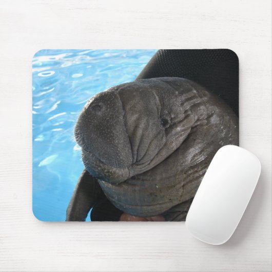 Tapis De Souris Manati SMP04 (Avec souris)