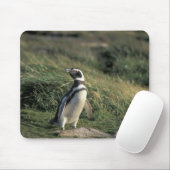 Tapis De Souris Manchot de Magellan (Spheniscus magellanicus), (Avec souris)