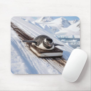 Tapis De Souris Manchot glissant sur un traîneau sandwich à la gla
