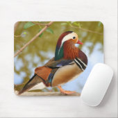 Tapis De Souris Mandarin Duck (Avec souris)