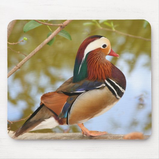 Tapis De Souris Mandarin Duck (Devant)