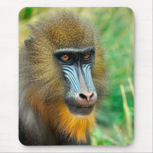 Tapis De Souris Mandrill 002