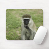 Tapis De Souris Manger des singes vervet, Afrique (Avec souris)