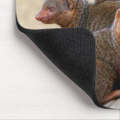 Tapis De Souris Mangoustes (Coin)