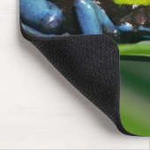 Tapis De Souris Mantella à dos vert (Coin)