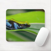 Tapis De Souris Mantella à dos vert (Avec souris)