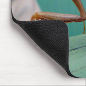 Tapis De Souris Mantis et fourmi (Coin)